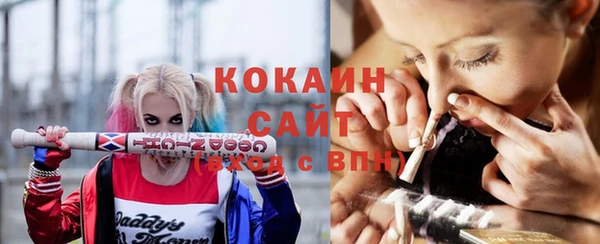 крисы Вязьма