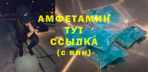 крисы Вязьма