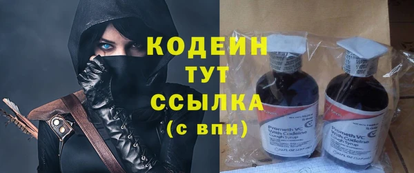 крисы Вязьма