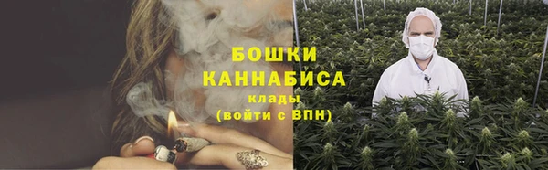 крисы Вязьма