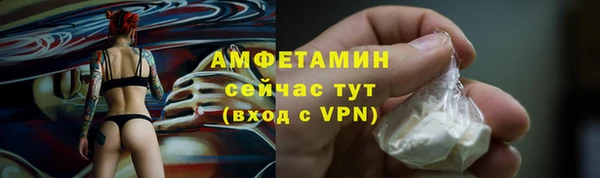 крисы Вязьма