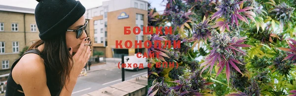 молекула духа Горно-Алтайск