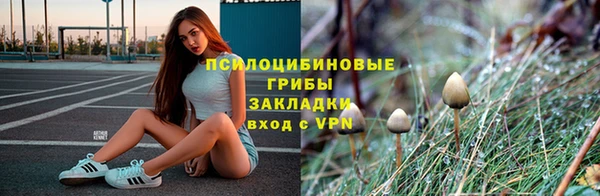 ПСИЛОЦИБИНОВЫЕ ГРИБЫ Горняк