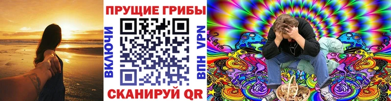 Псилоцибиновые грибы Psilocybe  Армавир 